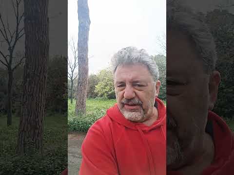 Lo squalo di Spielberg secondo Chatgpt