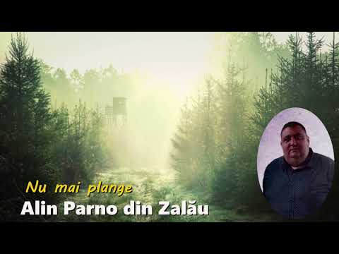 Alin Parno din Zalău -  nu mai plange ( nou 2020 )