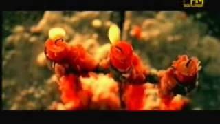 HIM - Rasmus - Apocalyptica - Bittersweet