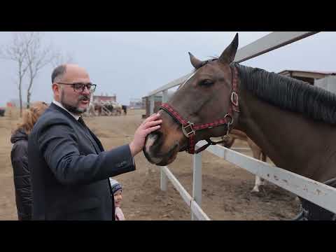 В центре образования «Вектор» Владивостока откроют шахматный класс.
