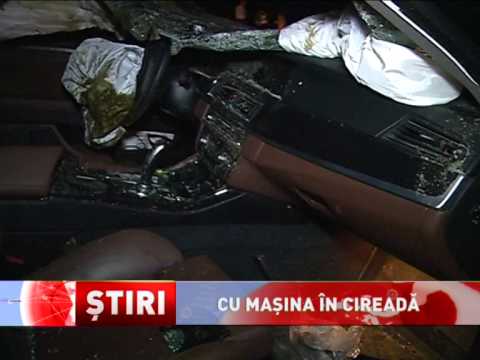 O turmă de vaci a provocat un accident grav, în județul Constanța