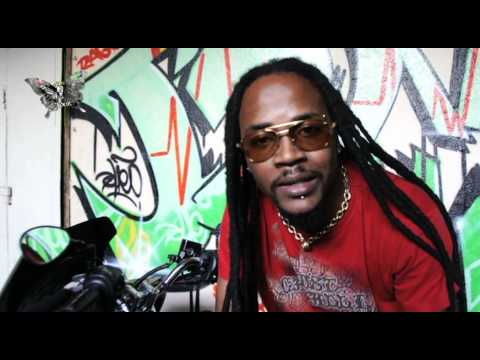 ZEBRIST TELL DEM DANDAMASTA (2011)