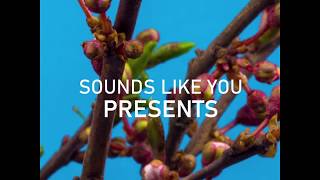 Playground - A Granular Synthesis Sample Pack