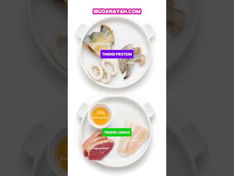 Sumber Protein Tinggi Lemak dan Protein untuk Tumbuh Kembang Optimal Si Kecil