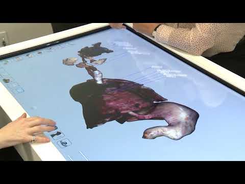 The Respiratory System