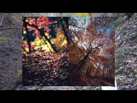 2019.11.17 Mt.Tsurune & Mt.Omatei by @yokoichi777