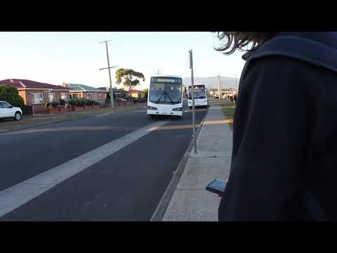 Cresswell Coaches Dominic bus coming in