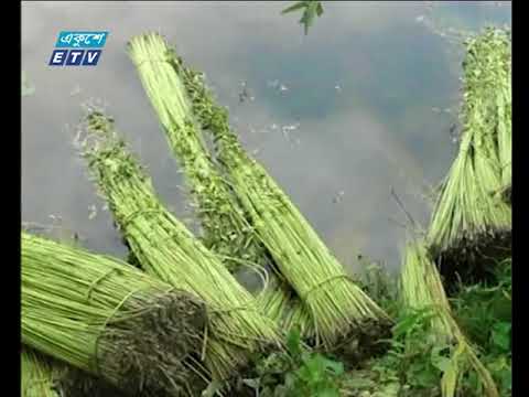 বানিজ্য সংবাদ ২য় পর্ব, ০৩ সেপ্টেম্বর ২০১৮ |