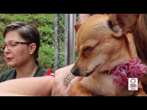 Mis Amigos Peludos  Capitulo 4  Maria Isabel Calle