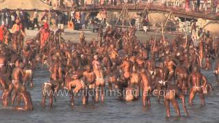 Best of Allahabad Kumbh mela - Worlds largest reli