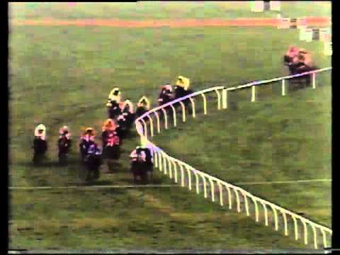 Morley Street - 1991 Champion Hurdle Cheltenham