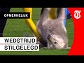 Hond steelt de show tijdens voetbalmatch
