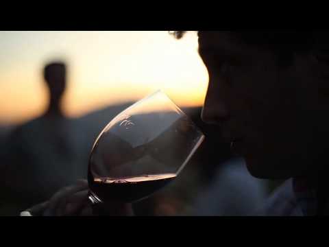 Teaser Vinoars - B2 Publicidad