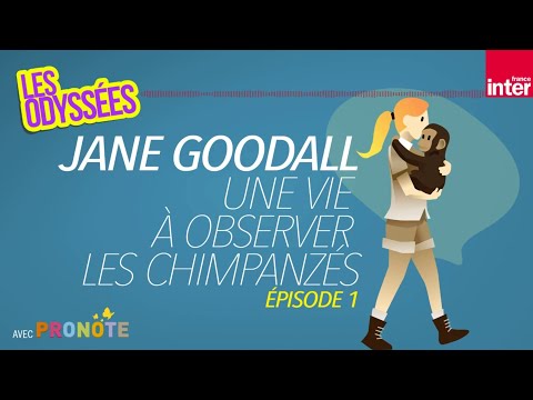 Jane Goodall, une vie à observer les chimpanzés, épisode 1 - Les odyssées