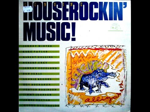 HOUND DOG TAYLOR  & THE HOUSEROCKERS -  DON'T BLAME ME