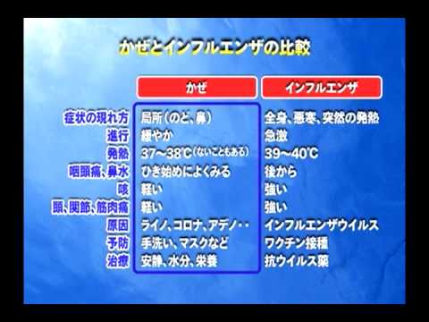 ニューブランズウィック州