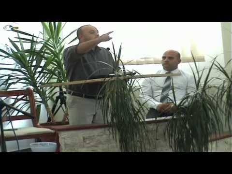 Gosen 30.08.2015 - dum dimineata (Stoica Nicolae)