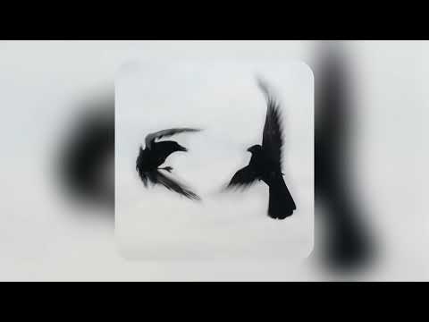 [FREE] PHARAOH Type Beat - "RETREAT" (prod. by coldkai beats feat. KILLVIBE)