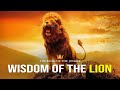 Wisdom Of The Lion - Powerful Motivational Video