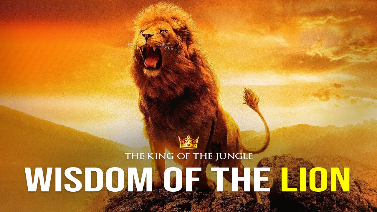 Wisdom Of The Lion - Powerful Motivational Video