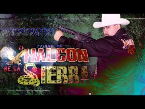 El Halcon De La Sierra Corridos En Vivo