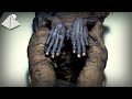 Ancient Egyptian Mummy Mystery Solved - Was This the Lost Prince of Ramesses II?