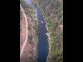 most insane swan dive ever