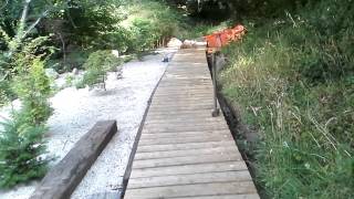 Richie healy Past the pond 2