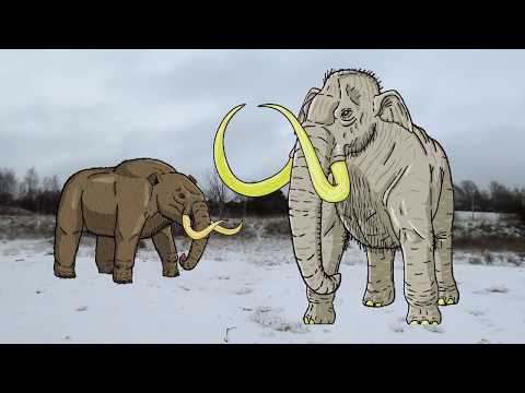 WHAT KILLED THE MEGAFAUNA? | Mini Documentary