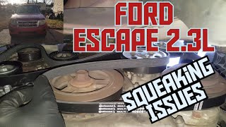 2008 Ford Escape 2.3L , tensioner, idler, serpentine belt replacement. Will it stop squeaking?