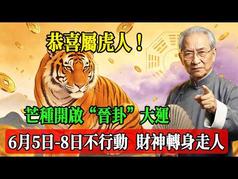 恭喜屬虎人！芒種開啟&ldquo;晉卦&rdquo;大運，6月5日-8日不行動，財神轉身走人！#南懷瑾 #國學 #易經 #開運 #招財#風水 #2026運勢#屬相#生肖運勢#生肖命理