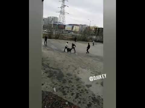 Видеофакт: В Якутске произошла массовая драка Видеофакт: В Якутске произошла массовая драка