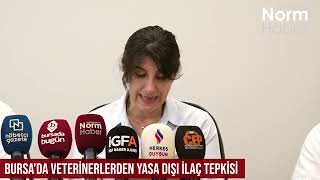 Bursa’da veterinerlerden yasa dışı ilaç tepkisi