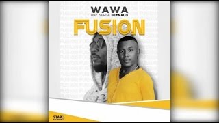 Wawa Salegy Ft. Serge Beynaud - Fusion - audio