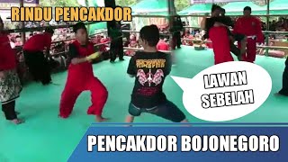 Download lagu PENCAK DOR PAGAR NUSA VS PSHT | BOJONEGORO mp3