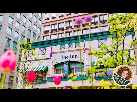 The Inn at Longwood Medical | Boston (MA), United States | Hotel Review 🏩