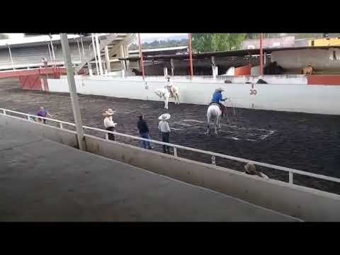 mauricio diaz 3 de 3 piales