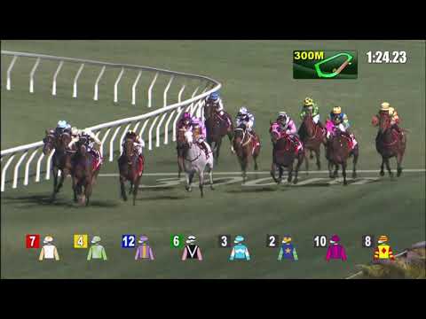 27/1/2021 (382) Savaquin - J Moreira