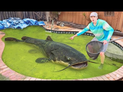 I Found a Abandoned Pool Filled with Monster Fish!