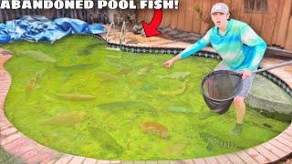 I Found a Abandoned Pool Filled with Monster Fish!