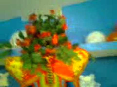 shri hari birthday celebration.