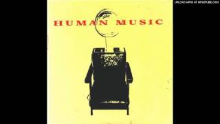 THE CLEAN Oddity (live)