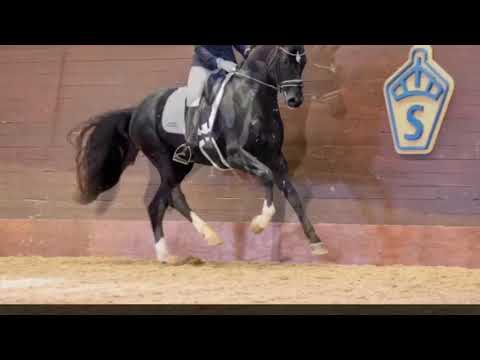 FAITHFUL 9526 (For Romance I - De Niro)