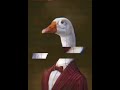 SCP 5001 Sr Pato