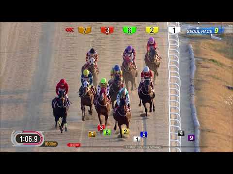 171105 Seoul R9 2000m
