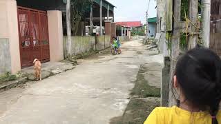 Hướng dẫn tập xe đạp bá đạo nhất quả đất