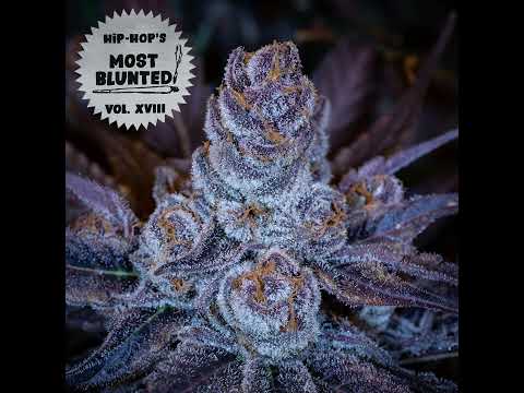 21 EllMatic & MpDrees24 ft  Sqb, Christmaz, Ntan, Khopa & Mocabz   Mega Blunt Session