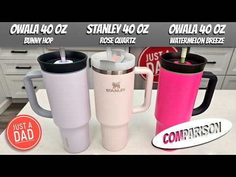 Owala 40 oz Tumbler vs Stanley 40 oz Tumbler with Straw Lid and Handle COMPARISON Who is The Best?