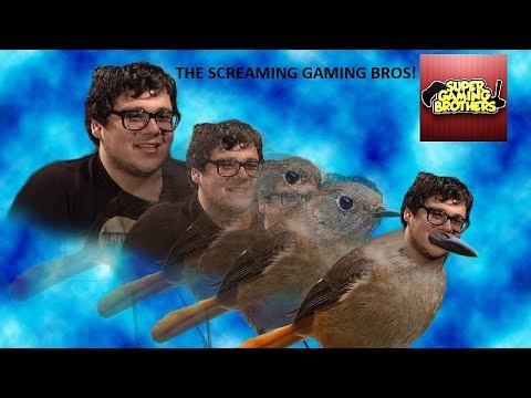 Screaming Gaming Brothers Compilation (A Montage of SGB Screams, Freakouts and Other Loud Noises)