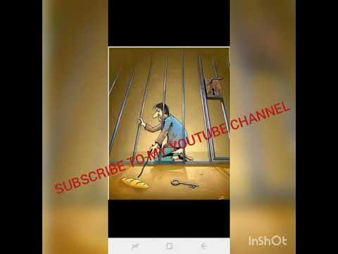 General Manager_-munhu mutema